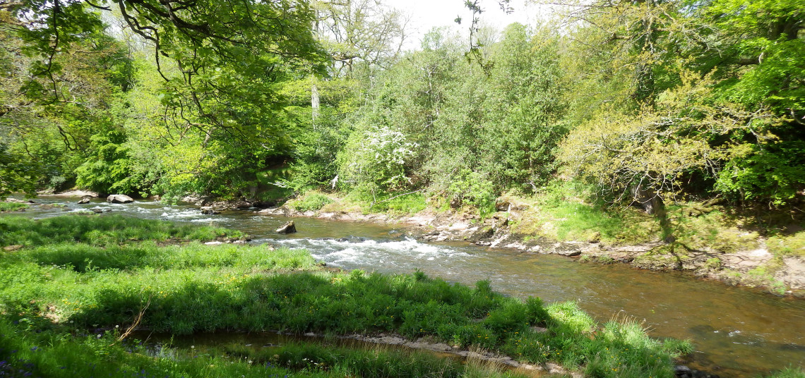 The Usk in spring - Oliver's usual haunt at that time of year
